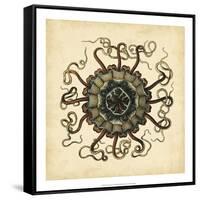 Gems of the Sea I-Vision Studio-Framed Stretched Canvas