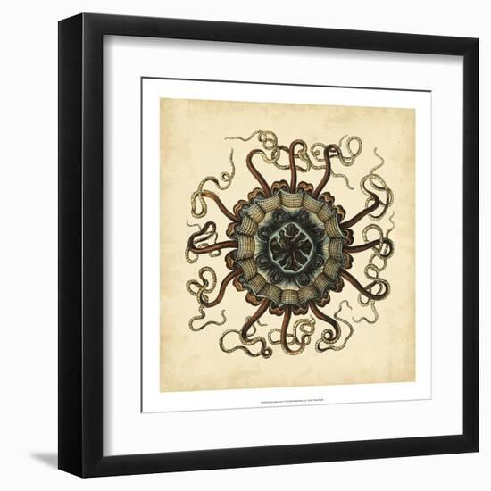 Gems of the Sea I-Vision Studio-Framed Art Print