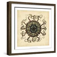 Gems of the Sea I-Vision Studio-Framed Art Print