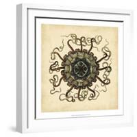 Gems of the Sea I-Vision Studio-Framed Art Print