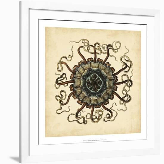 Gems of the Sea I-Vision Studio-Framed Art Print