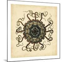 Gems of the Sea I-Vision Studio-Mounted Art Print