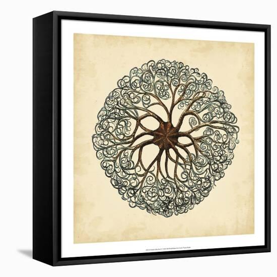 Gems of the Sea II-Vision Studio-Framed Stretched Canvas