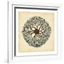 Gems of the Sea II-Vision Studio-Framed Art Print