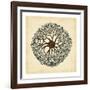 Gems of the Sea II-Vision Studio-Framed Art Print