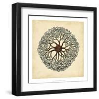 Gems of the Sea II-Vision Studio-Framed Art Print