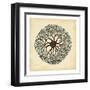 Gems of the Sea II-Vision Studio-Framed Art Print