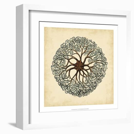 Gems of the Sea II-Vision Studio-Framed Art Print