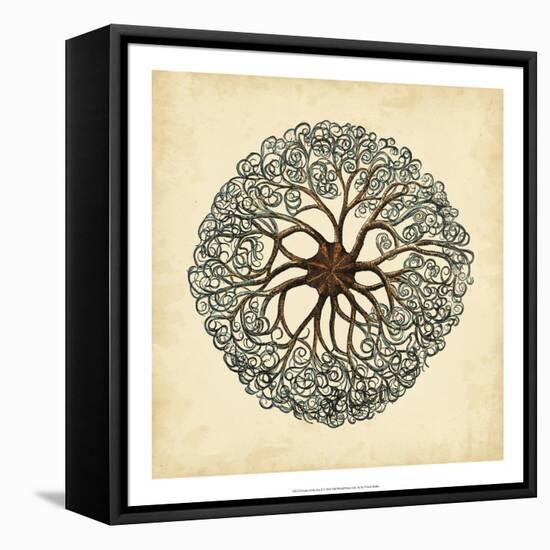 Gems of the Sea II-Vision Studio-Framed Stretched Canvas