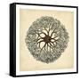 Gems of the Sea II-Vision Studio-Framed Stretched Canvas