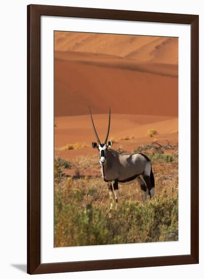 Gemsbok and Sand Dunes, Namib-Naukluft National Park, Namibia-David Wall-Framed Photographic Print