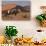 Gemsbok and Sand Dunes, Namib-Naukluft National Park, Namibia-David Wall-Photographic Print displayed on a wall