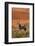 Gemsbok and Sand Dunes, Namib-Naukluft National Park, Namibia-David Wall-Framed Photographic Print