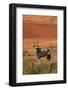 Gemsbok and Sand Dunes, Namib-Naukluft National Park, Namibia-David Wall-Framed Photographic Print