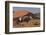 Gemsbok and Sand Dunes, Namib-Naukluft National Park, Namibia-David Wall-Framed Photographic Print