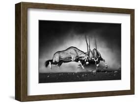 Gemsbok Dual (Artistic Processing)-Johan Swanepoel-Framed Photographic Print