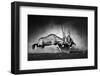 Gemsbok Dual (Artistic Processing)-Johan Swanepoel-Framed Photographic Print