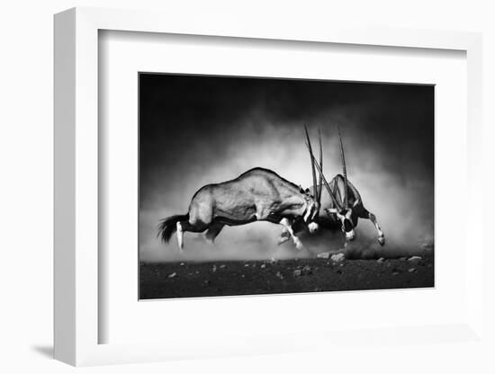Gemsbok Dual (Artistic Processing)-Johan Swanepoel-Framed Photographic Print