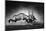 Gemsbok Dual (Artistic Processing)-Johan Swanepoel-Mounted Photographic Print