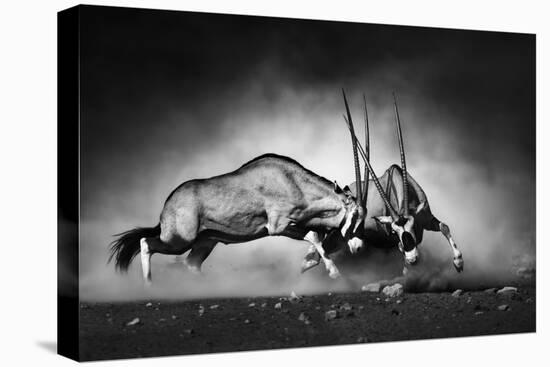 Gemsbok Dual (Artistic Processing)-Johan Swanepoel-Stretched Canvas