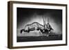 Gemsbok Dual (Artistic Processing)-Johan Swanepoel-Framed Photographic Print