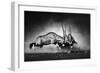 Gemsbok Dual (Artistic Processing)-Johan Swanepoel-Framed Photographic Print