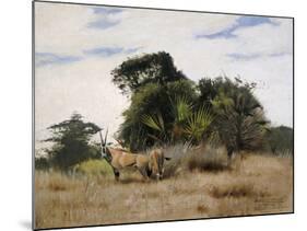 Gemsbok Oryx, 1891-Wilhelm Kuhnert-Mounted Giclee Print