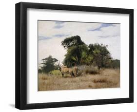 Gemsbok Oryx, 1891-Wilhelm Kuhnert-Framed Giclee Print