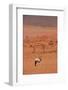 Gemsbok (oryx gazella), NamibRand Nature Reserve, Southern Namibia, Africa-David Wall-Framed Photographic Print