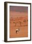 Gemsbok (oryx gazella), NamibRand Nature Reserve, Southern Namibia, Africa-David Wall-Framed Photographic Print