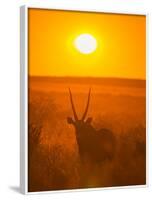 Gemsbok (Oryx Gazella) Silhouetted At Dawn, Kalahari Desert, Botswana-Juan Carlos Munoz-Framed Photographic Print