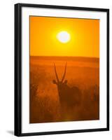 Gemsbok (Oryx Gazella) Silhouetted At Dawn, Kalahari Desert, Botswana-Juan Carlos Munoz-Framed Photographic Print