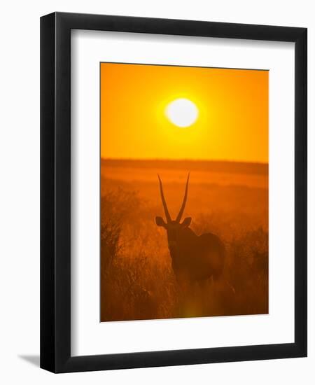 Gemsbok (Oryx Gazella) Silhouetted At Dawn, Kalahari Desert, Botswana-Juan Carlos Munoz-Framed Premium Photographic Print