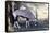 Gemsbok, Oryx Gazella-Artush-Framed Stretched Canvas