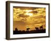 Gemsbok Silhouetted on Sand Dune, Kgalagadi Transfrontier Park, South Africa-Paul Souders-Framed Photographic Print