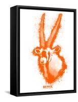 Gemsbok Spray Paint Orange-Anthony Salinas-Framed Stretched Canvas