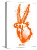Gemsbok Spray Paint Orange-Anthony Salinas-Stretched Canvas