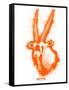 Gemsbok Spray Paint Orange-Anthony Salinas-Framed Stretched Canvas