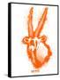 Gemsbok Spray Paint Orange-Anthony Salinas-Framed Stretched Canvas