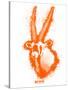 Gemsbok Spray Paint Orange-Anthony Salinas-Stretched Canvas