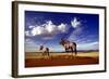 Gemsbok-null-Framed Photographic Print