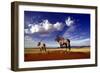 Gemsbok-null-Framed Photographic Print