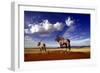 Gemsbok-null-Framed Photographic Print