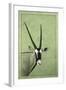 Gemsbok-James W. Johnson-Framed Giclee Print