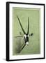 Gemsbok-James W. Johnson-Framed Giclee Print