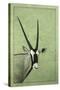 Gemsbok-James W. Johnson-Stretched Canvas