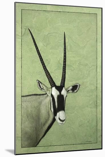 Gemsbok-James W. Johnson-Mounted Giclee Print