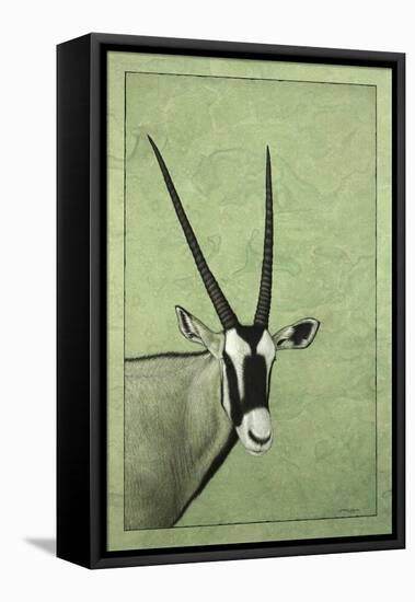 Gemsbok-James W. Johnson-Framed Stretched Canvas