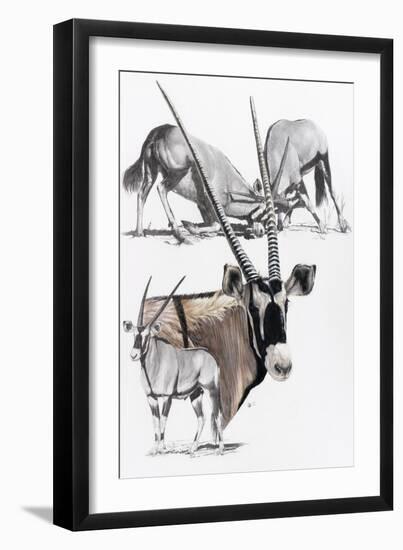 Gemsbok-Barbara Keith-Framed Premium Giclee Print