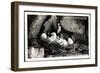 Gemsennest, Gefunden Am 30. Mai 1937 in Nordostsüdwestwand D.Gamskogels, Eier-null-Framed Giclee Print